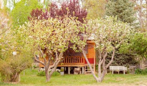 Hosteria La Farfalla Chos Malal Exterior photo